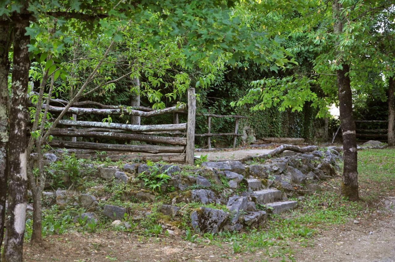 Traditional Stone House Kotli Buzet Exterior photo